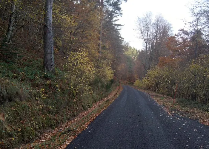 En Pleine Campagne *